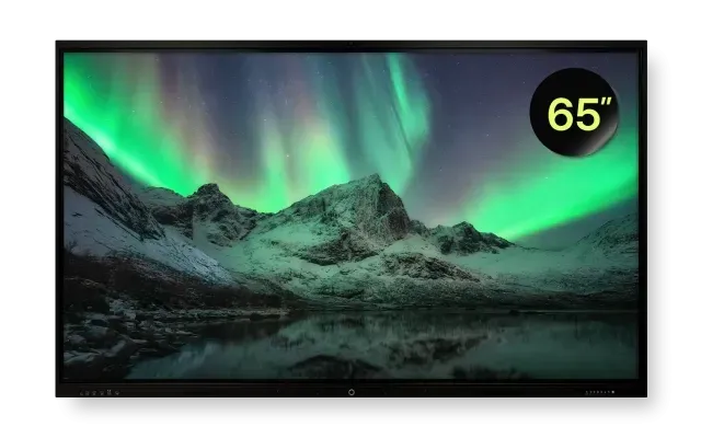 65인치 제품