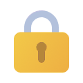 Video conferencing security icon